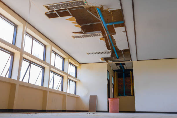 Trusted Ramsey, NJ Water damage restoration Experts