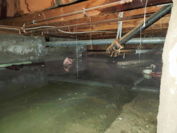 Best Residential water damage restoration  in Ramsey, NJ