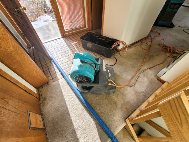 Best Mold removal after water damage  in Ramsey, NJ