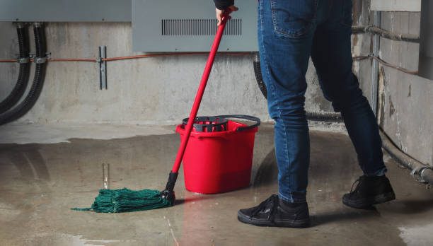 Best Water damage cleanup near me  in Ramsey, NJ