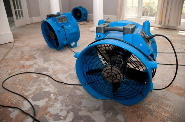 Water damage restoration insurance claims in Ramsey, NJ