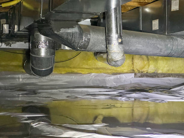 Best Carpet water damage restoration  in Ramsey, NJ