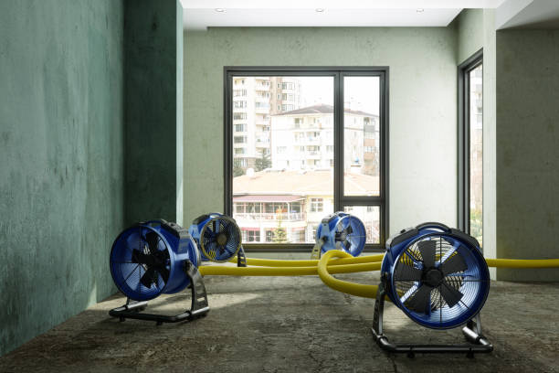 Best Water damage restoration insurance claims  in Ramsey, NJ