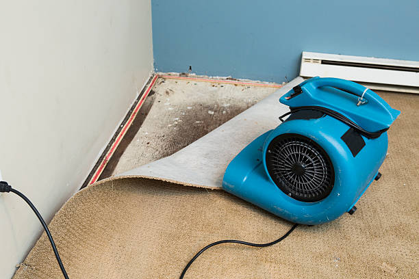Best Emergency water damage restoration  in Ramsey, NJ